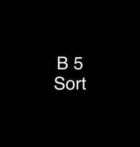 B5 - Sort