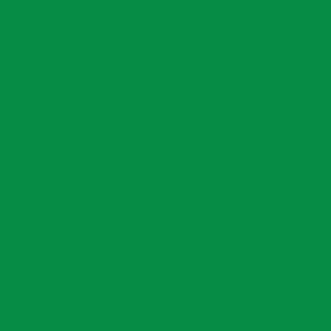 B51 - Kelly grøn